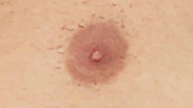 Illustration for article titled An Enemy In Hiding: Amongst These Innocent
MaleĀ NipplesĀ Lurks A Wicked FemaleĀ Nipple!